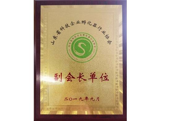 省科技企业孵化器副会长