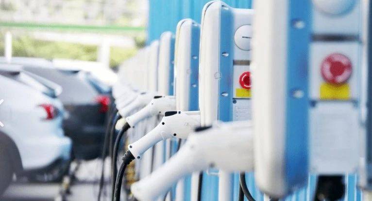 微信图片_20240815084313