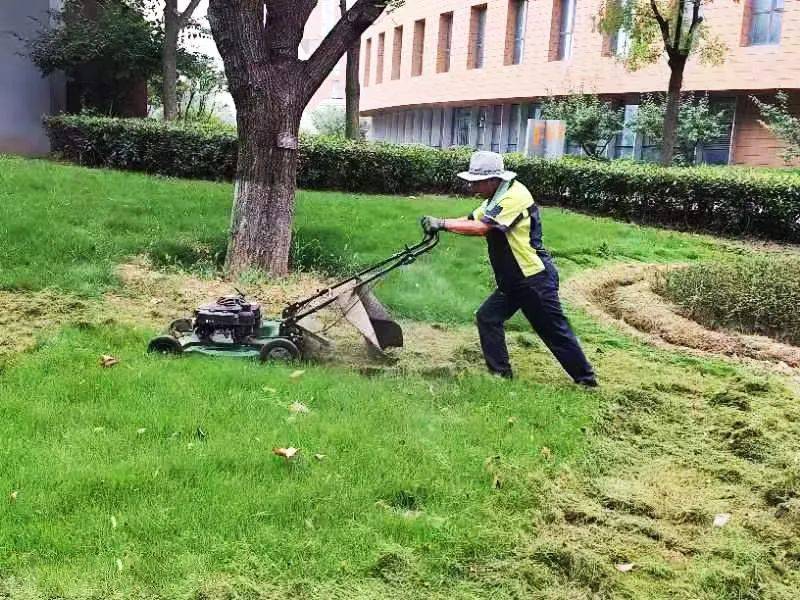 微信图片_20240905092821