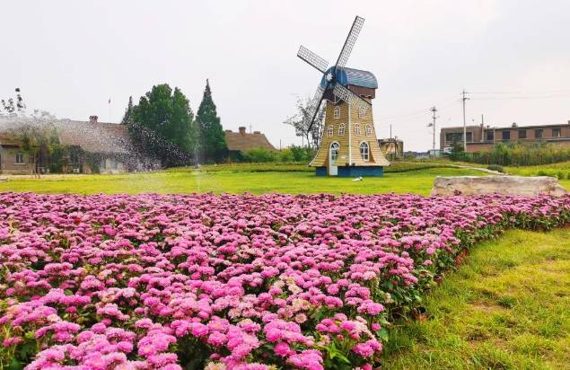 360截图1818071699123139