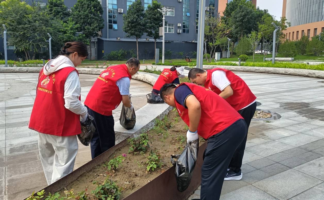 微信截图_20240816152336