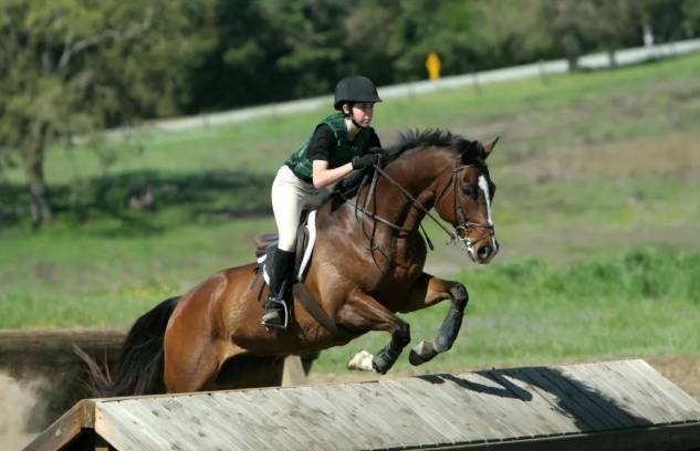 ScreenShot_2025-10-10_091604_817